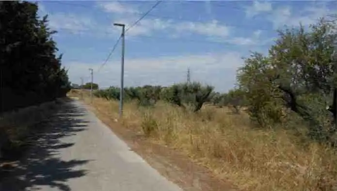 Terreny rústic en venda a Ds Camino Mayayo - Carril Carriles -, imagen 8
