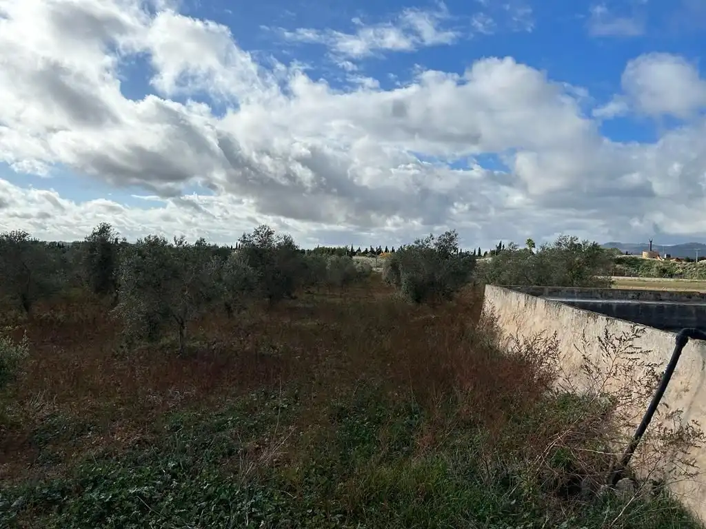 Rural land for sale in Sa Pobla, imagen 13