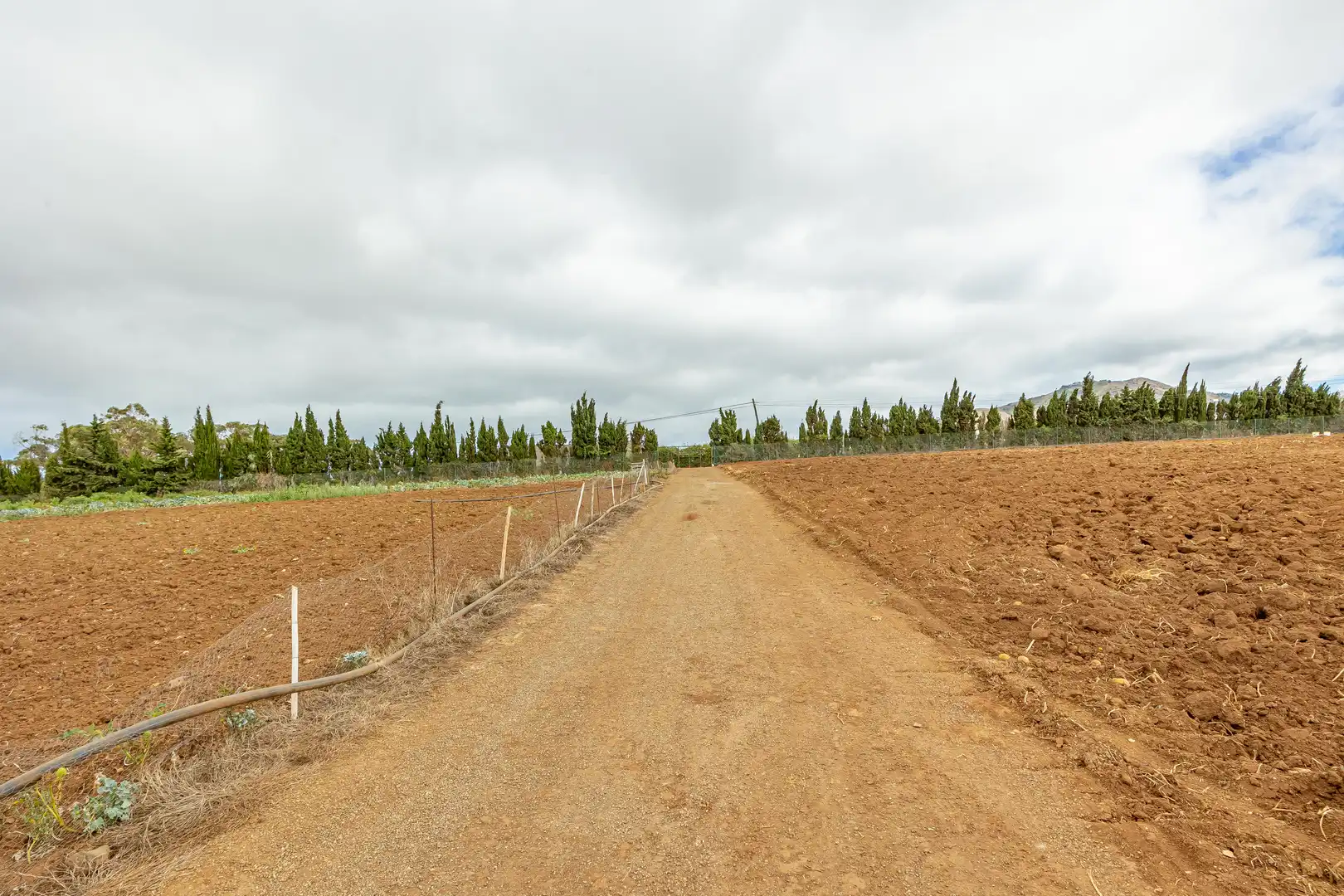 Residencial en venta en Lugar Lomo del Poleo, Saucillo - Fagajesto - Juncalillo