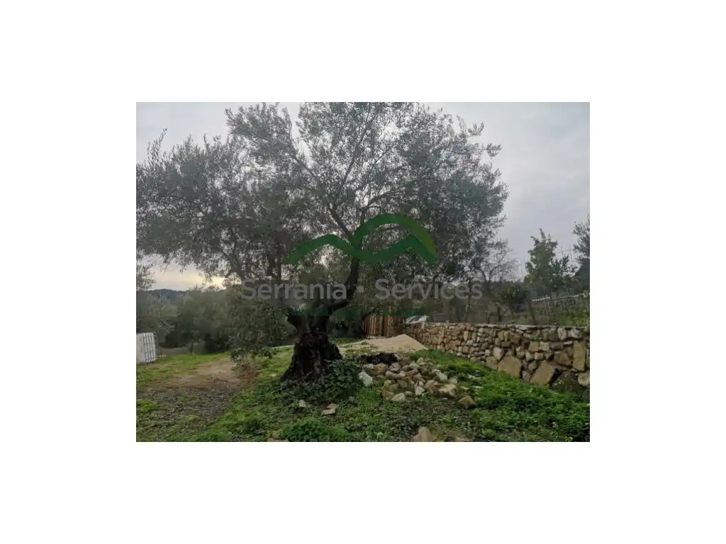 Haus zum Verkauf in Cortes de la Frontera, imagen 4