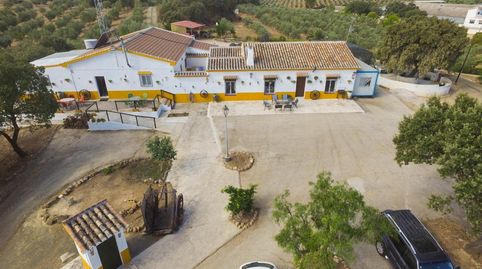 Foto 4 de Finca rústica en venda a Archidona, Málaga