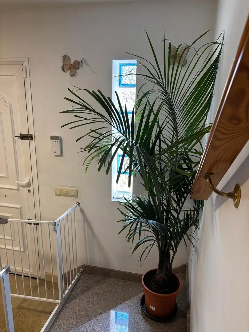 Triplex avec terrasse à vendre à Berja, imagen 28