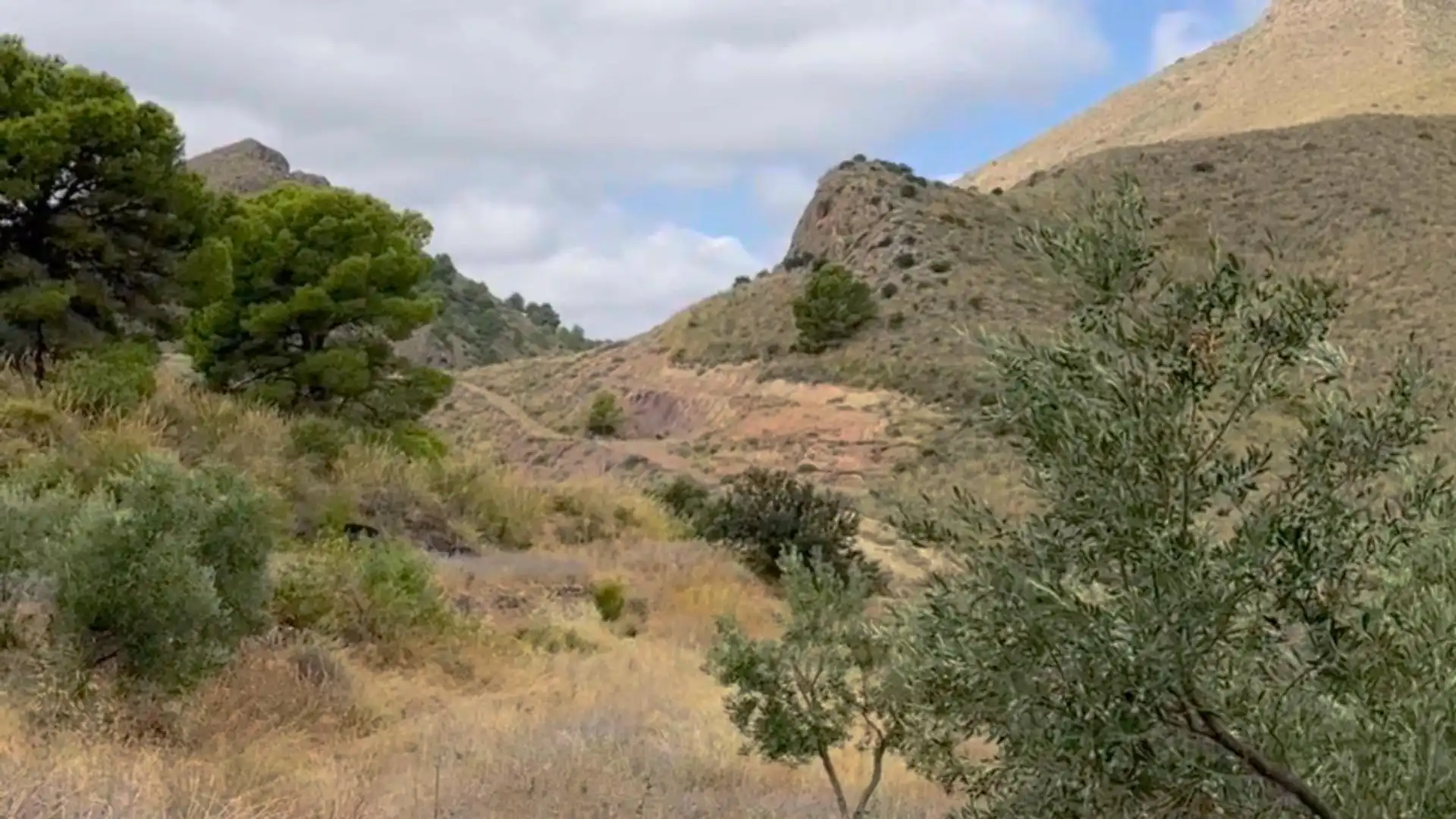 Country homes for sale in Lorca  with Private garden