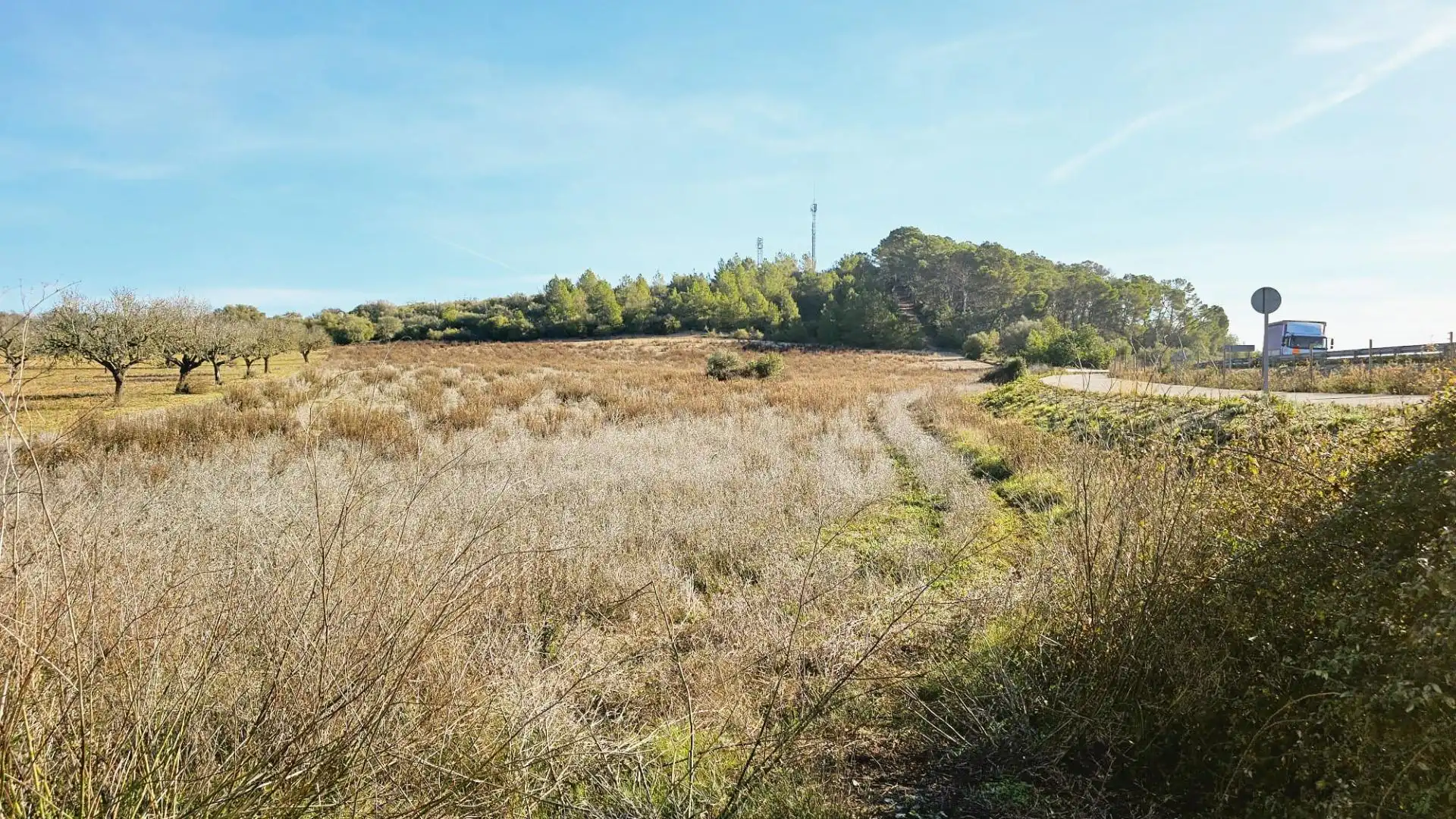 Rural land for sale in Sant Joan, imagen 3