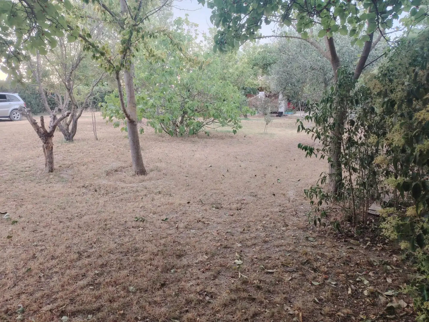 Casa o xalet en venda en El Burgo de Ebro amb Jardí privat i Traster