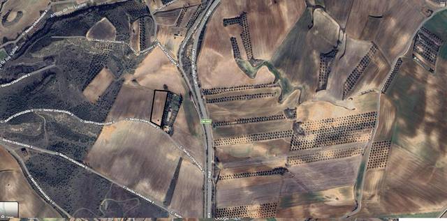 Terreno en Venta en SECTOR URBANIZABLE 3, 3 en Tórtola de Henares