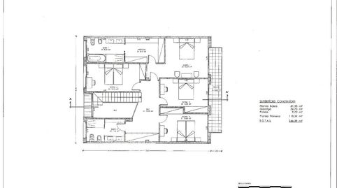 PATIS  VENTA, immagine 3