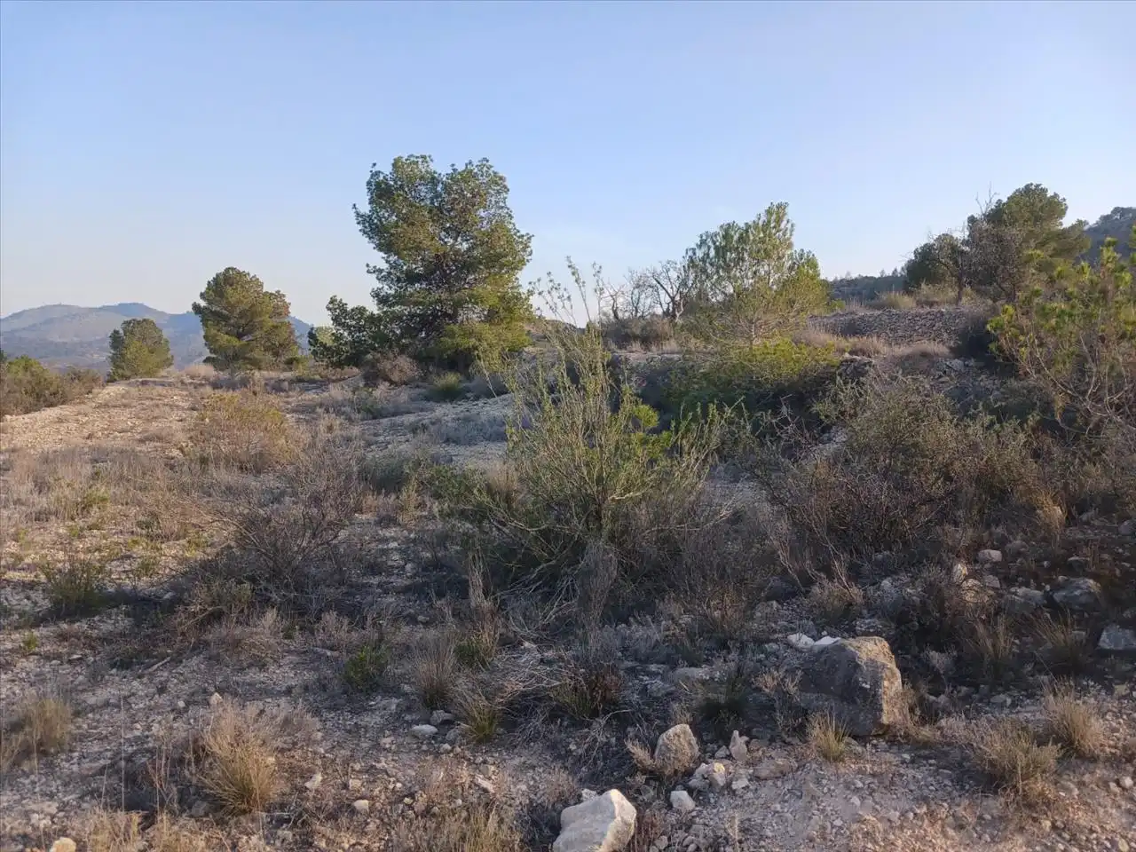 Residential land for sale in Proc. Simplificado, imagen 3