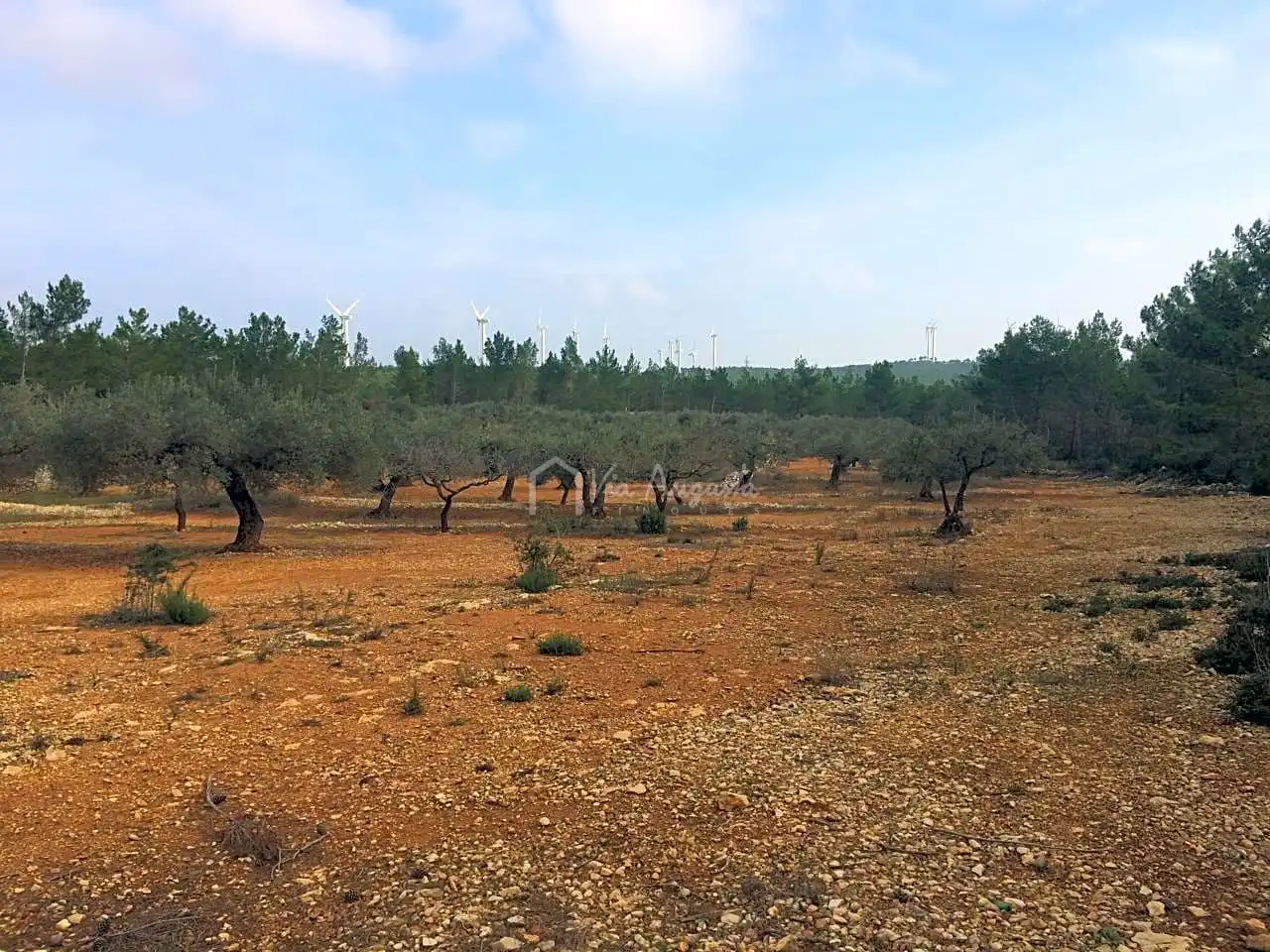 Terreno rustico in vendita a Burga, imagen 5
