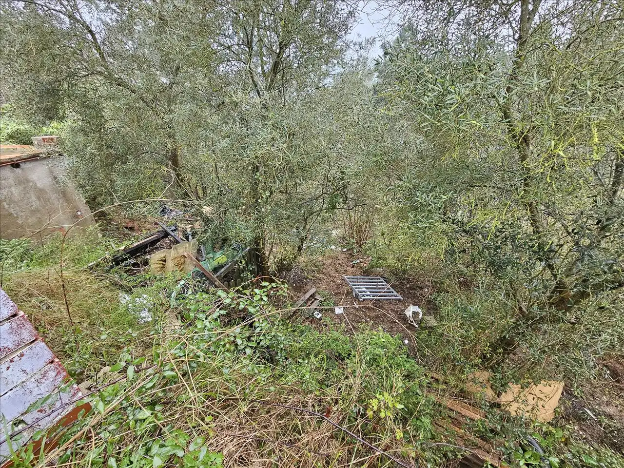 Casa o xalet en venda en Riudarenes