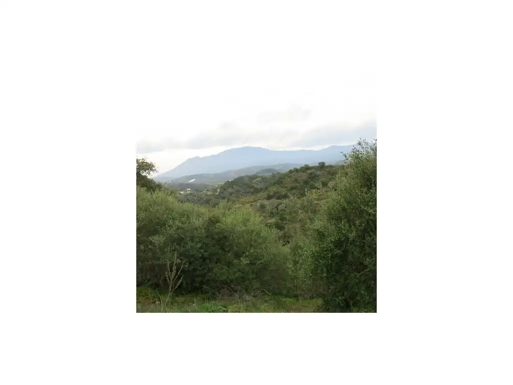 Vista exterior de Finca rústica en venta en Estepona
