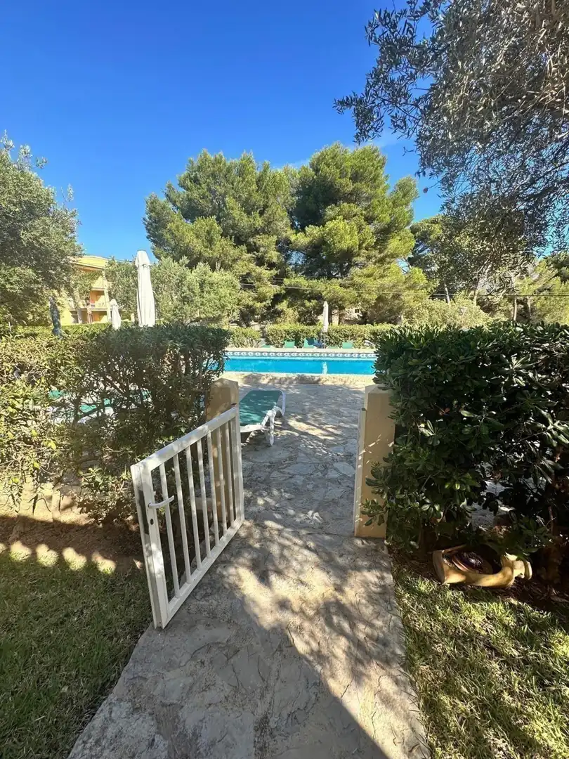 Schwimmbecken von Wohnung zur Miete in Can Picafort