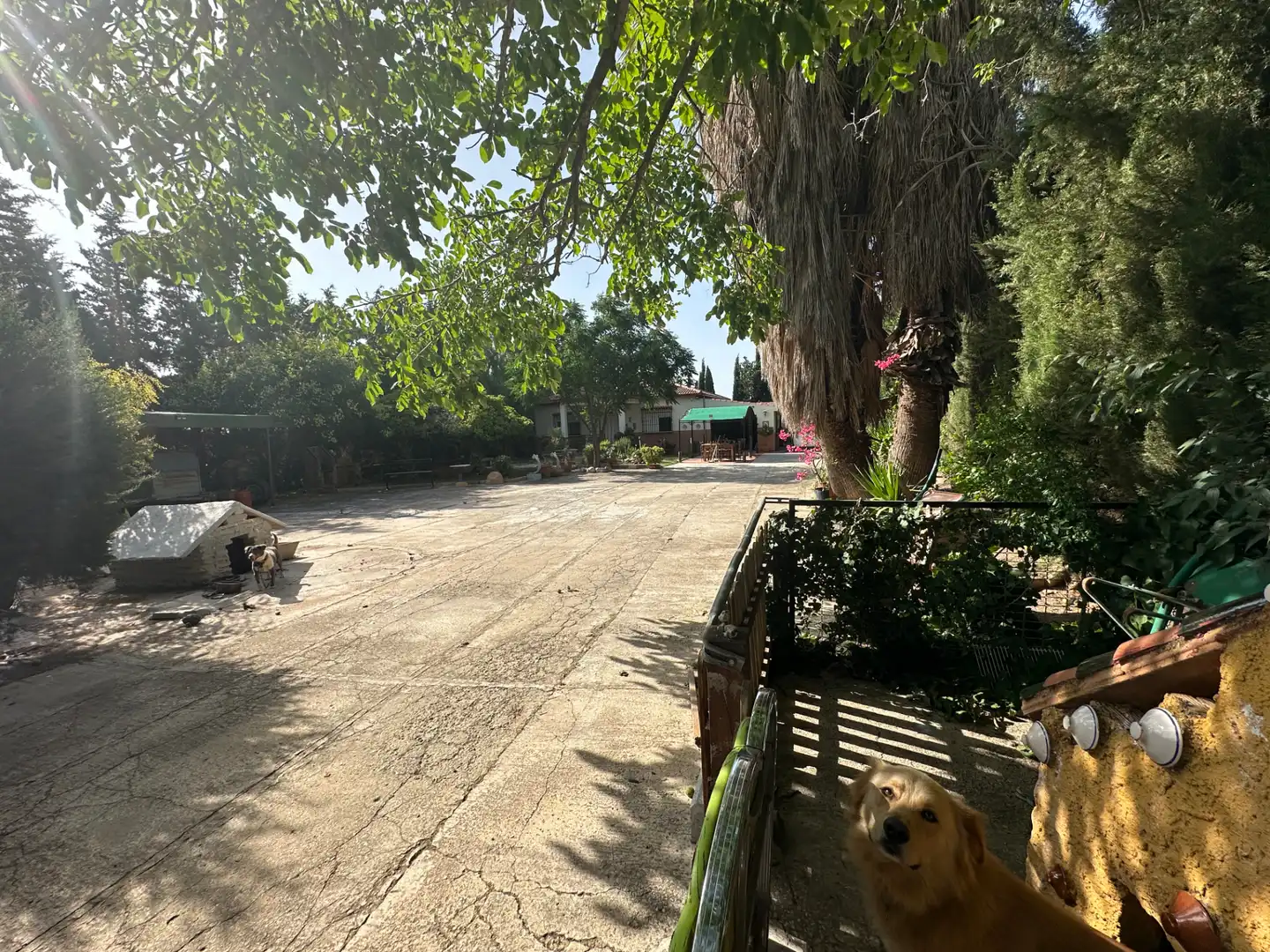 Lands and plots for sale in Centro, imagen 42