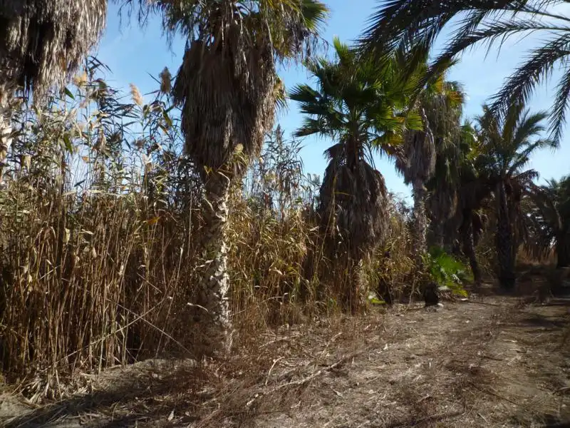 Terreno rustico in vendita a Calle Valle Inclán 7, imagen 28