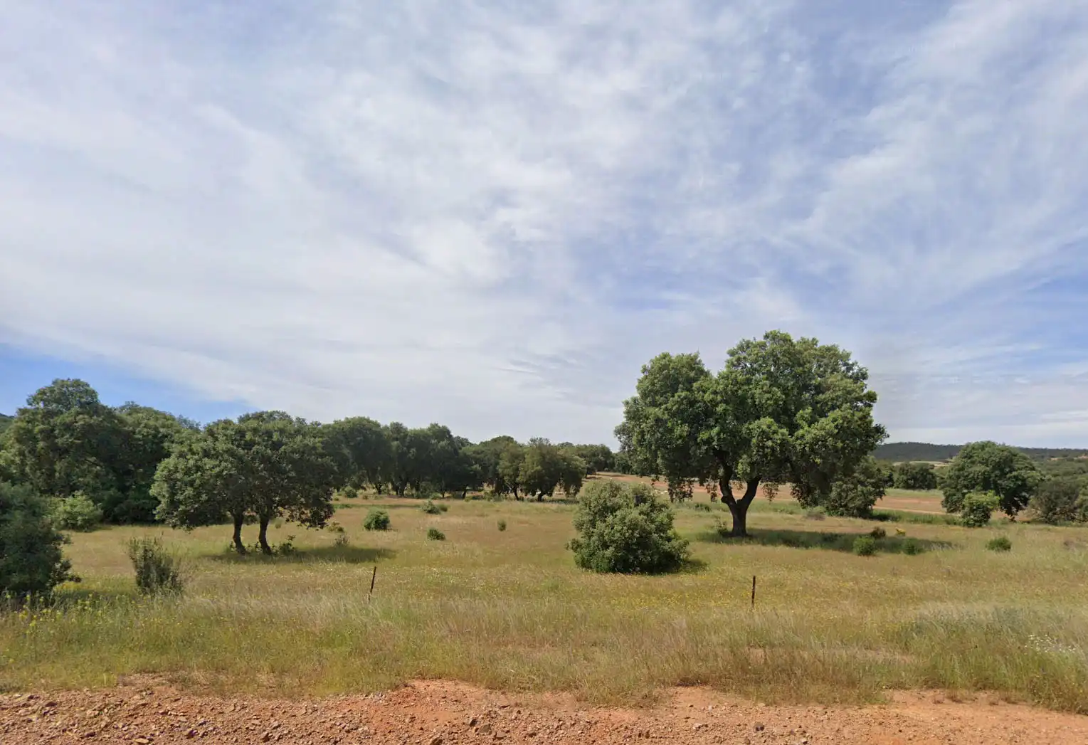 Terreny rústic en venda a Villanueva de la Serena, imagen 13