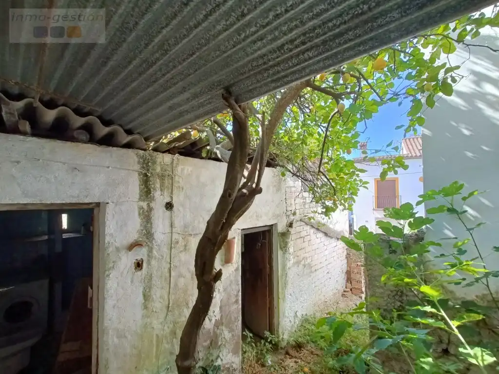 House for sale in Calle Piedras, imagen 14