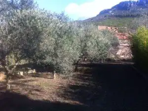 Nau industrial en venda en La Riba
