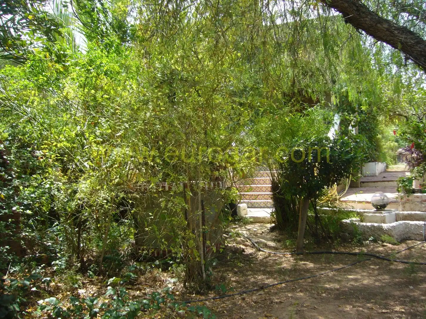 Jardí de Casa o xalet en venda en Chiva amb Jardí privat, Terrassa i Traster