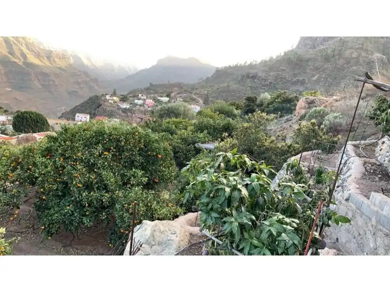 Country homes for sale in El Horno