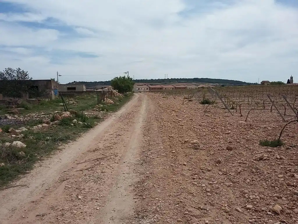 Terreny rústic en venda a POLIGONO, imagen 9