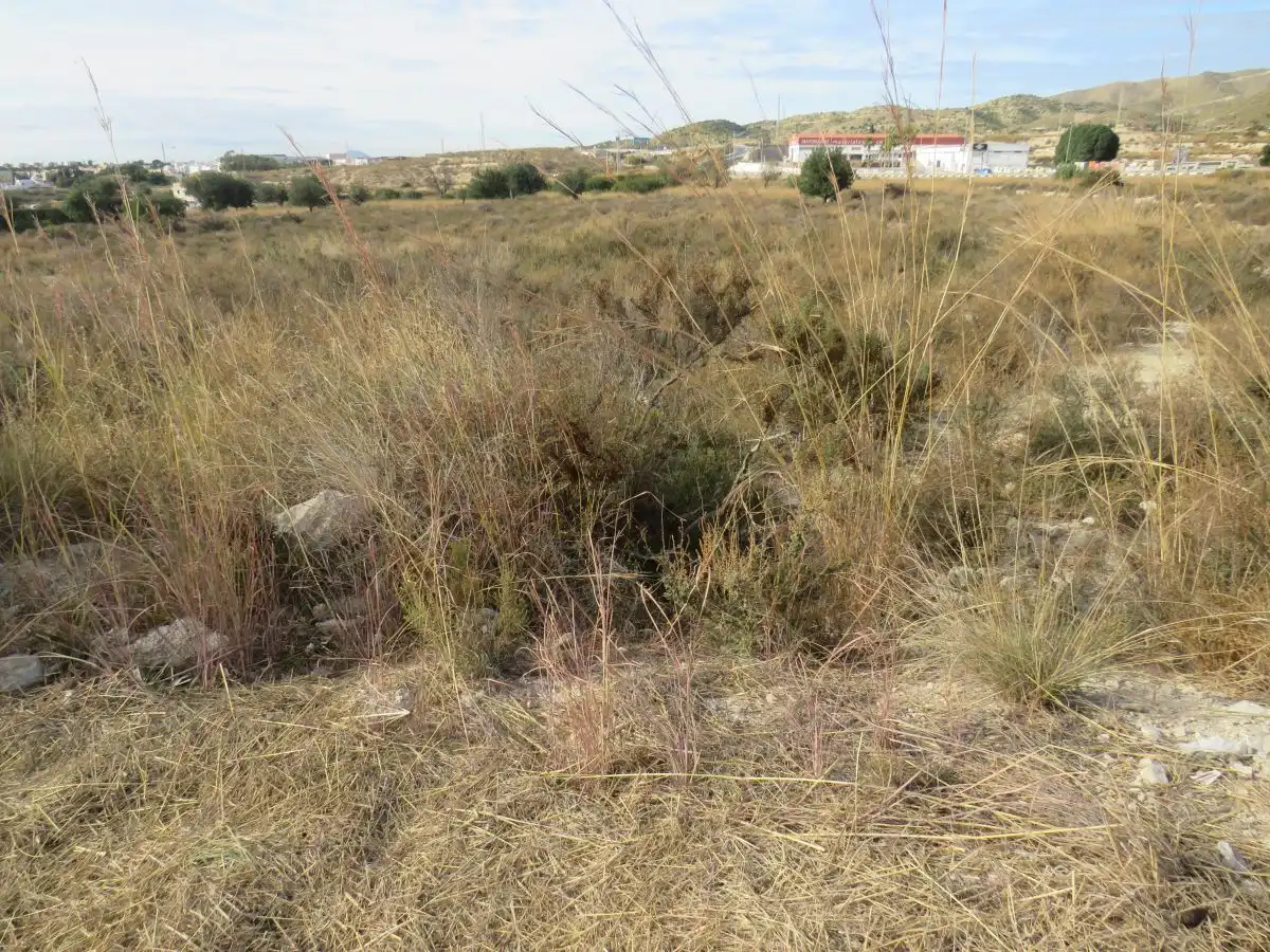 Lands and plots for sale in Pueblo Español - Coveta Fumá, imagen 5