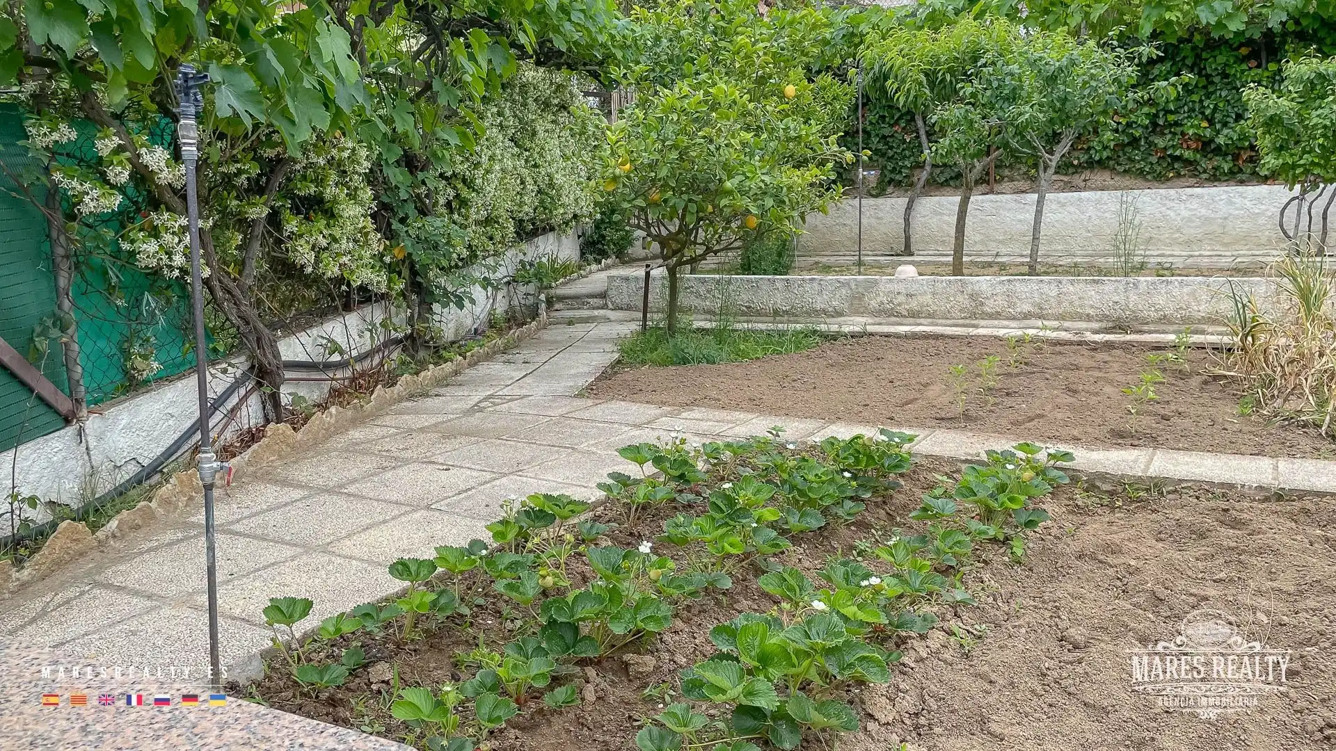 Jardí de Casa o xalet en venda en Lloret de Mar amb Calefacció, Jardí privat i Terrassa