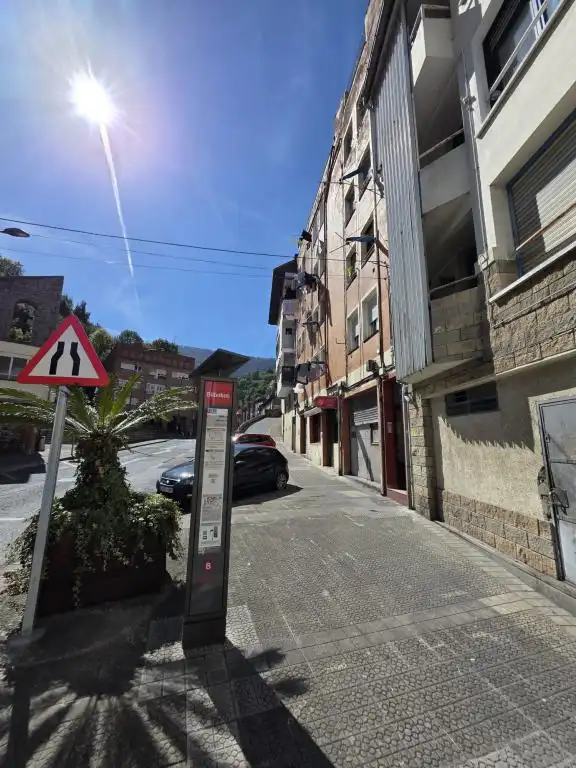 Exterior view of Flat for sale in Errekalde