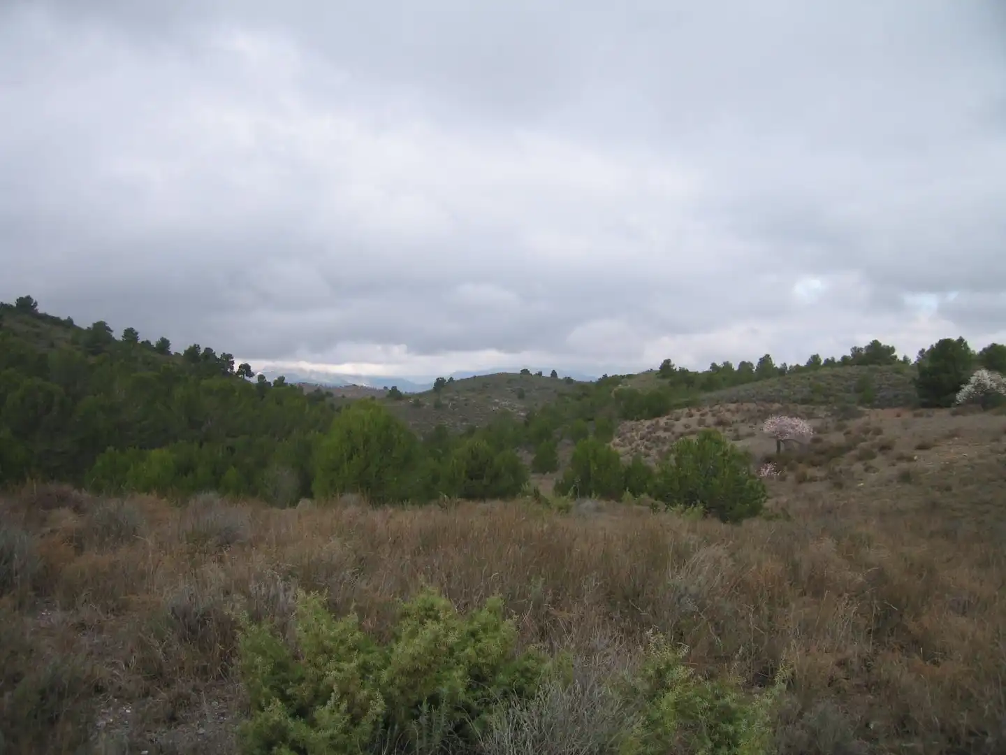 Terreno rustico in vendita a Pedanías Centro, imagen 4
