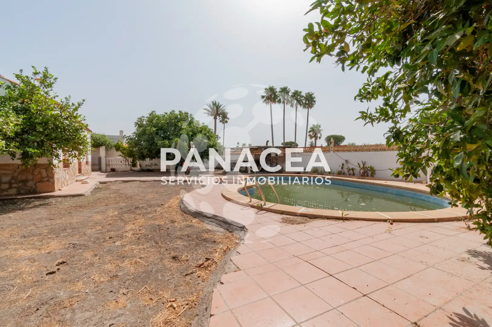 Jardí de Casa o xalet en venda en Pechina amb Jardí privat, Piscina i Moblat