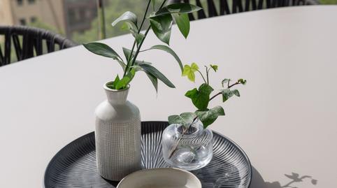 Photo 5 of Apartments for rent in Costa de la Calma, Calvià