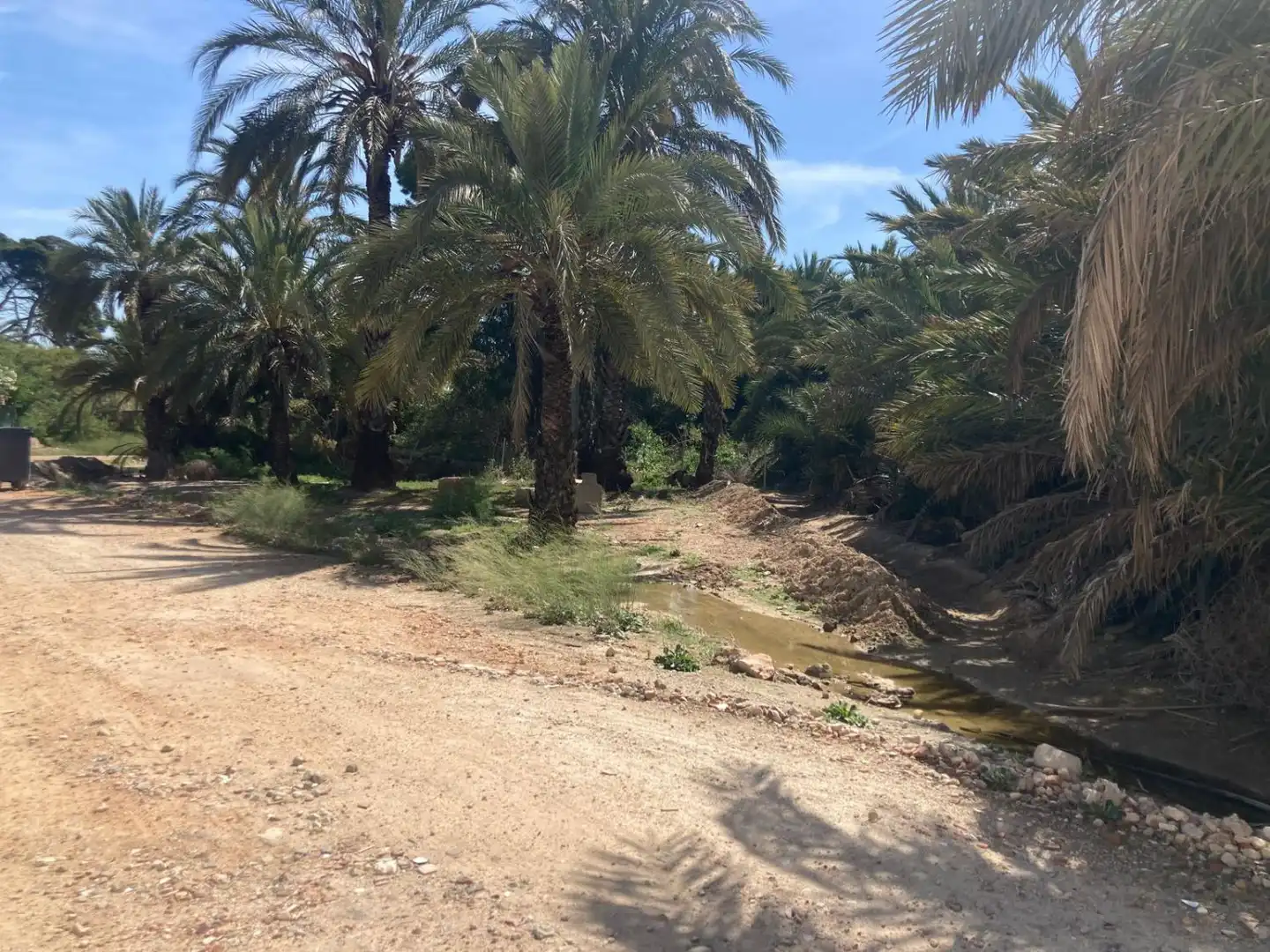 Finca rústica en venda a Los Montesinos