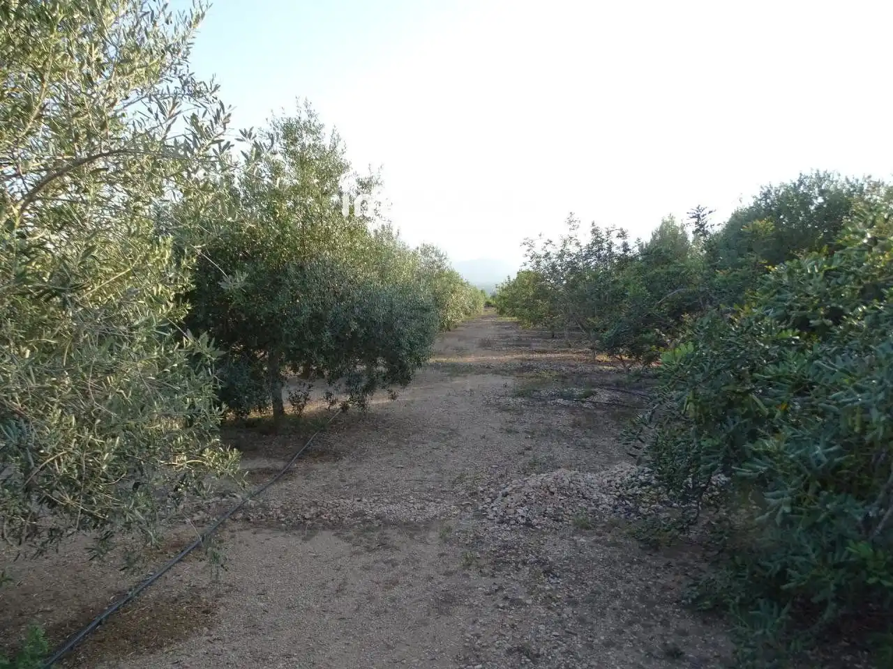 Terrenos y solares en venta en 2, imagen 12
