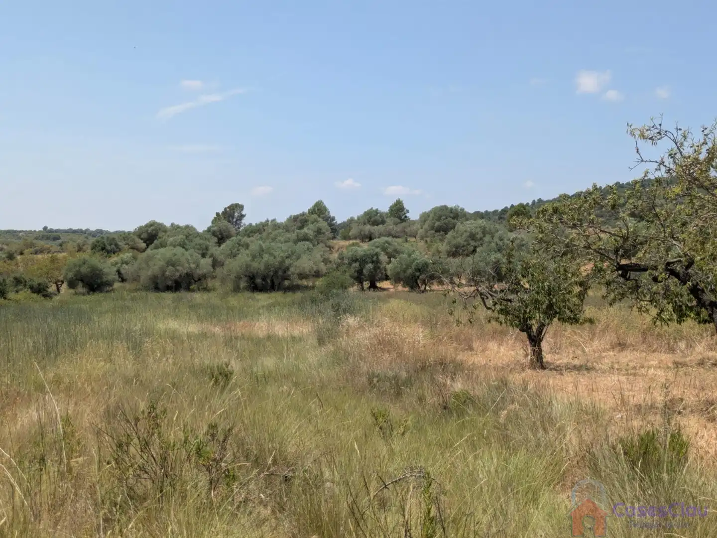 Finca rústica en venta en Vilanova d'Alcolea