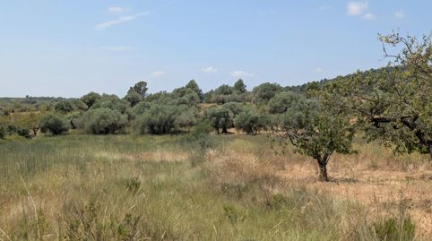 Photo 3 of Country homes for sale in 8, Vilanova d'Alcolea, Castellón