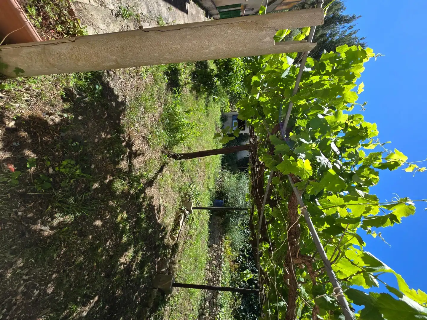 Casa o xalet en venda en Mancor de la Vall amb Terrassa, Traster i Piscina