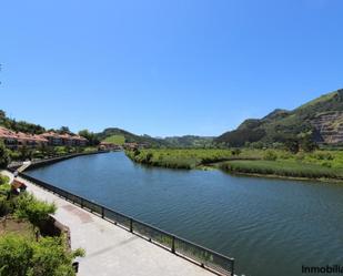 Vista exterior de Finca rústica en venda en Limpias