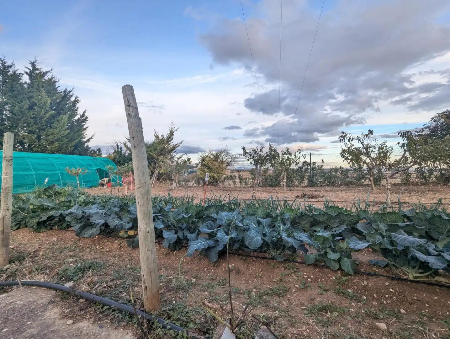 Nave industrial en venta en Aberin
