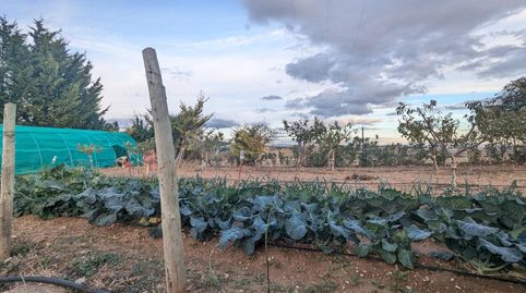 VENTA CENTRO HÍPICO EN ABERIN, imatge 3