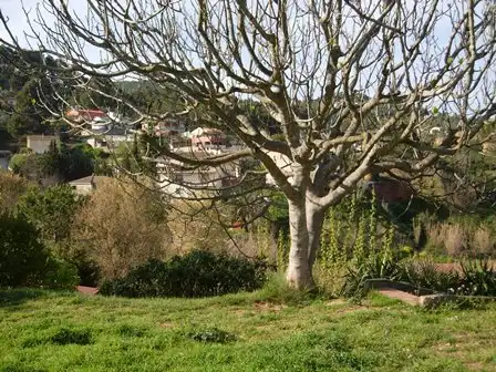 Exterior view of Residential for sale in Corbera de Llobregat