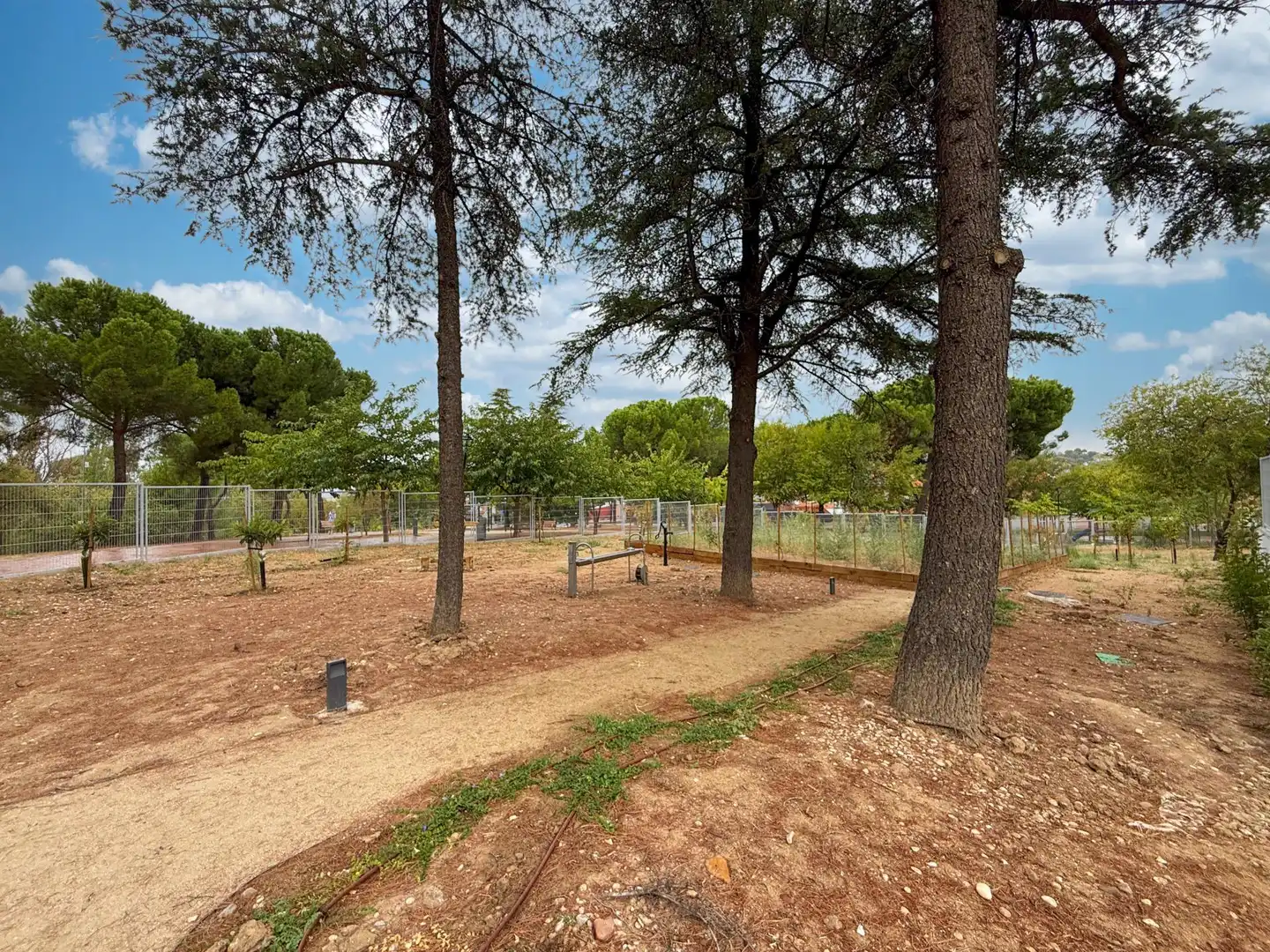 Flat for rent in Cobeña, Madrid