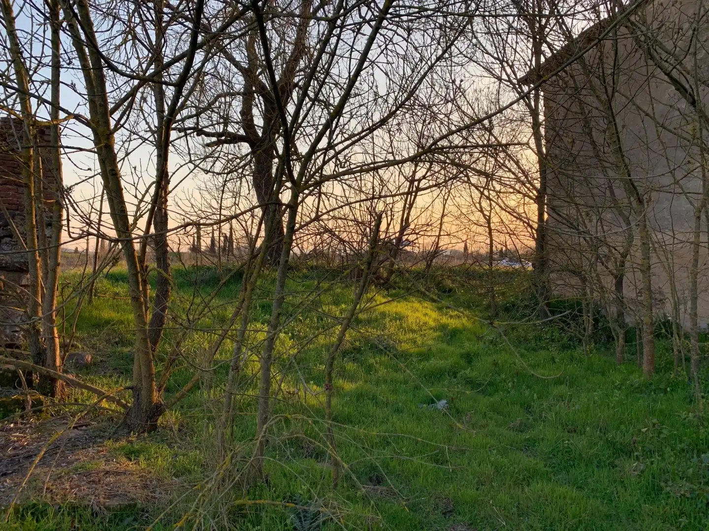 Finca rústica en venta en Pinós