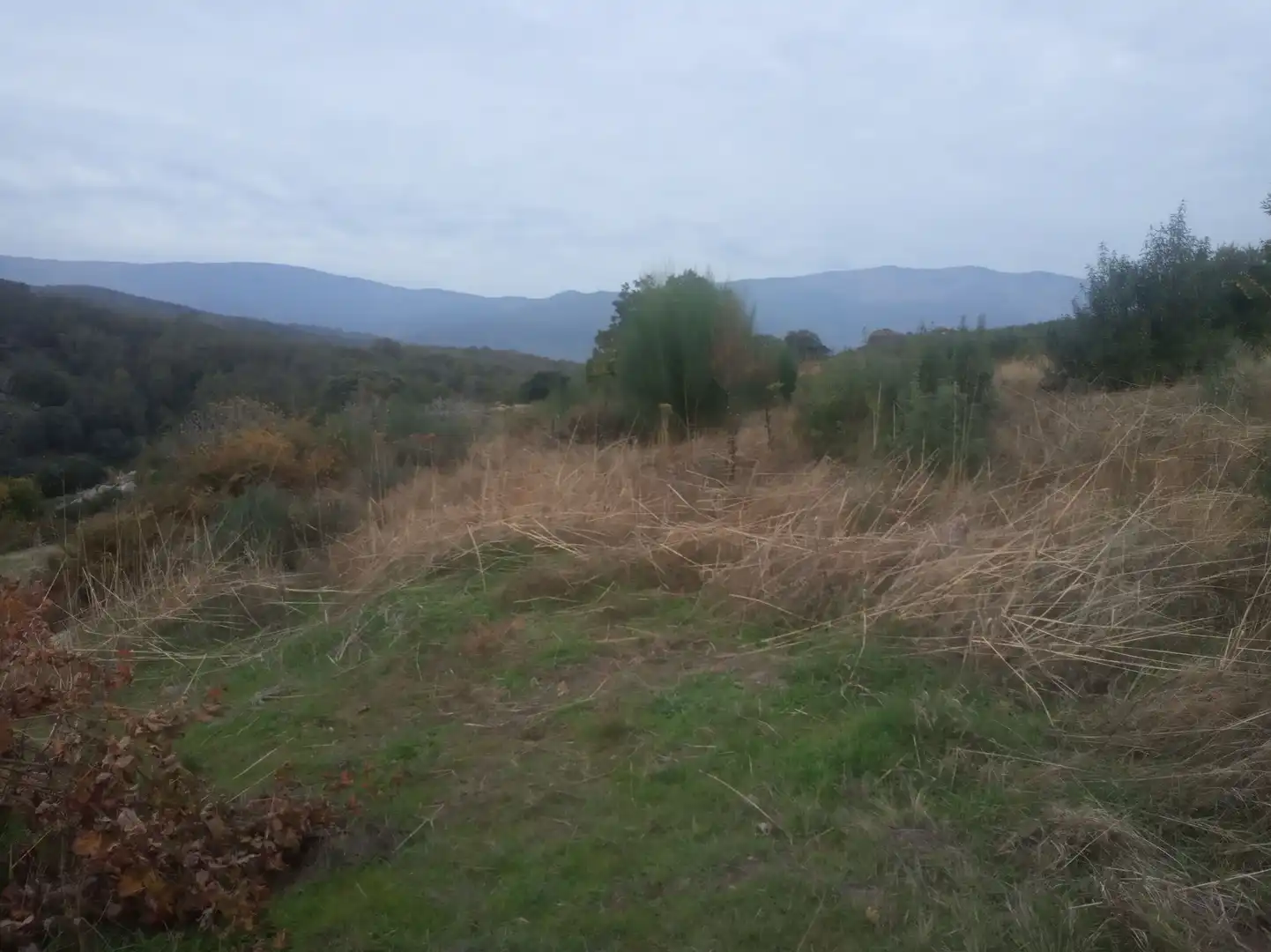 Terreni e lotti in vendita a Jarandilla de la Vera, imagen 8