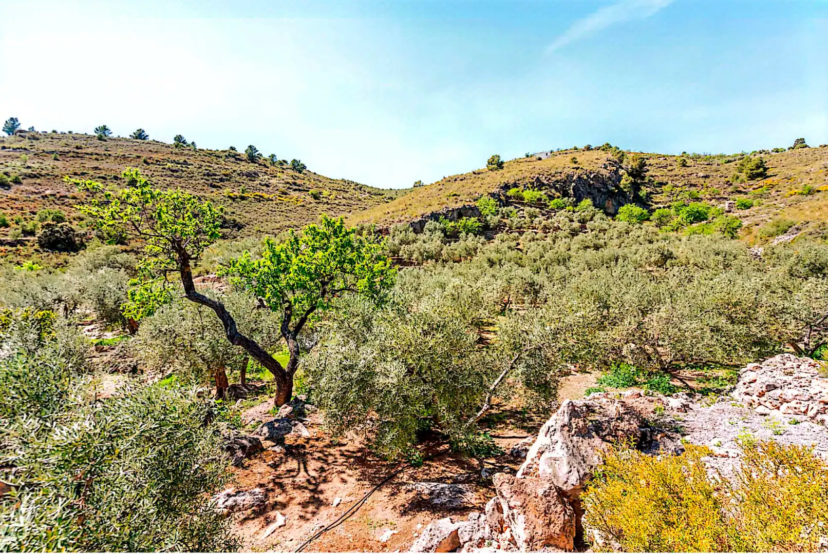 Terrain rustique à vendre à El Pinar, imagen 14
