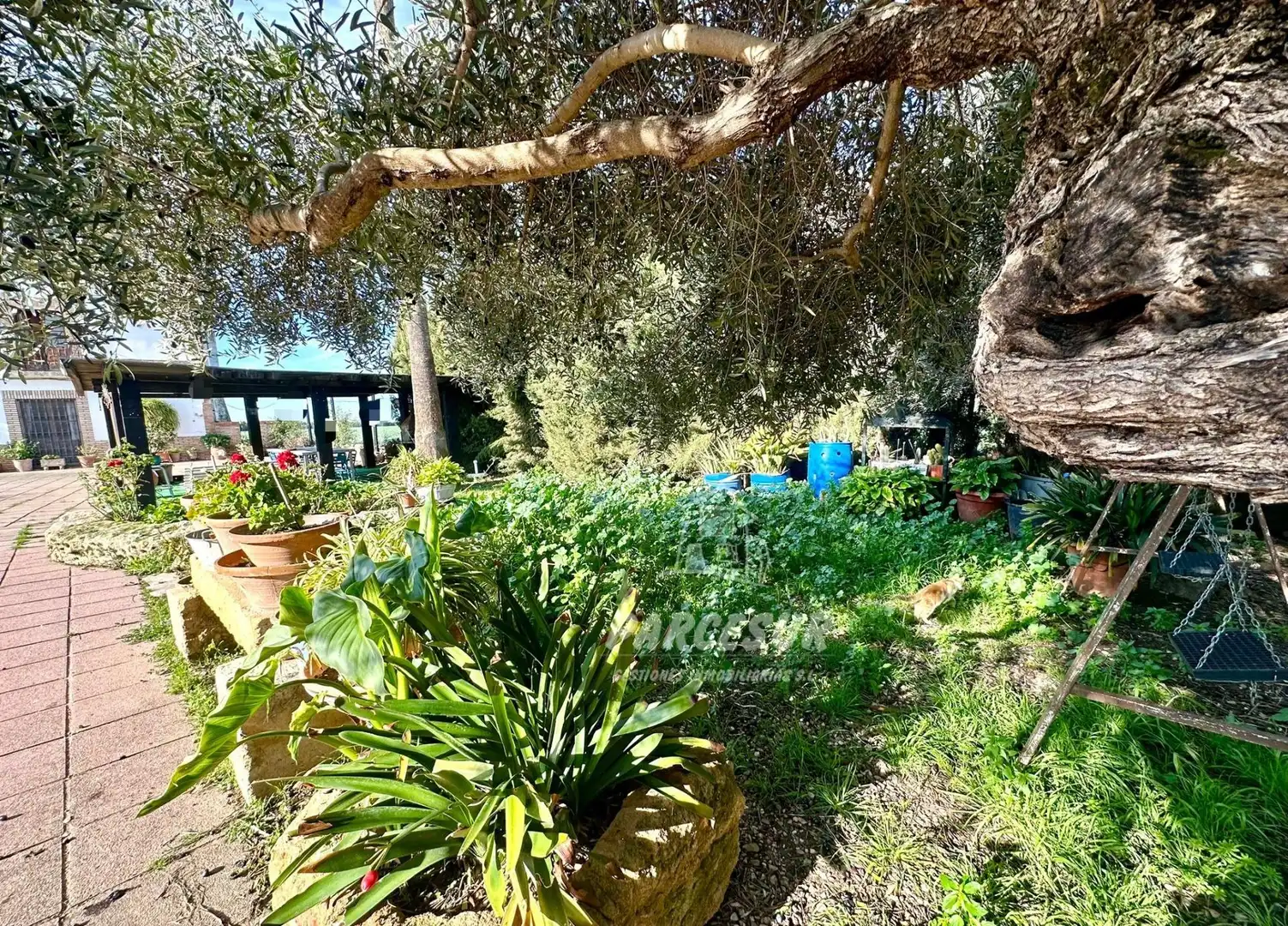 Garten von Country house zum Verkauf in Córdoba mit Schwimmbad