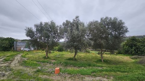Foto 5 de Casa o chalet en venta en Manilva Pueblo, Manilva