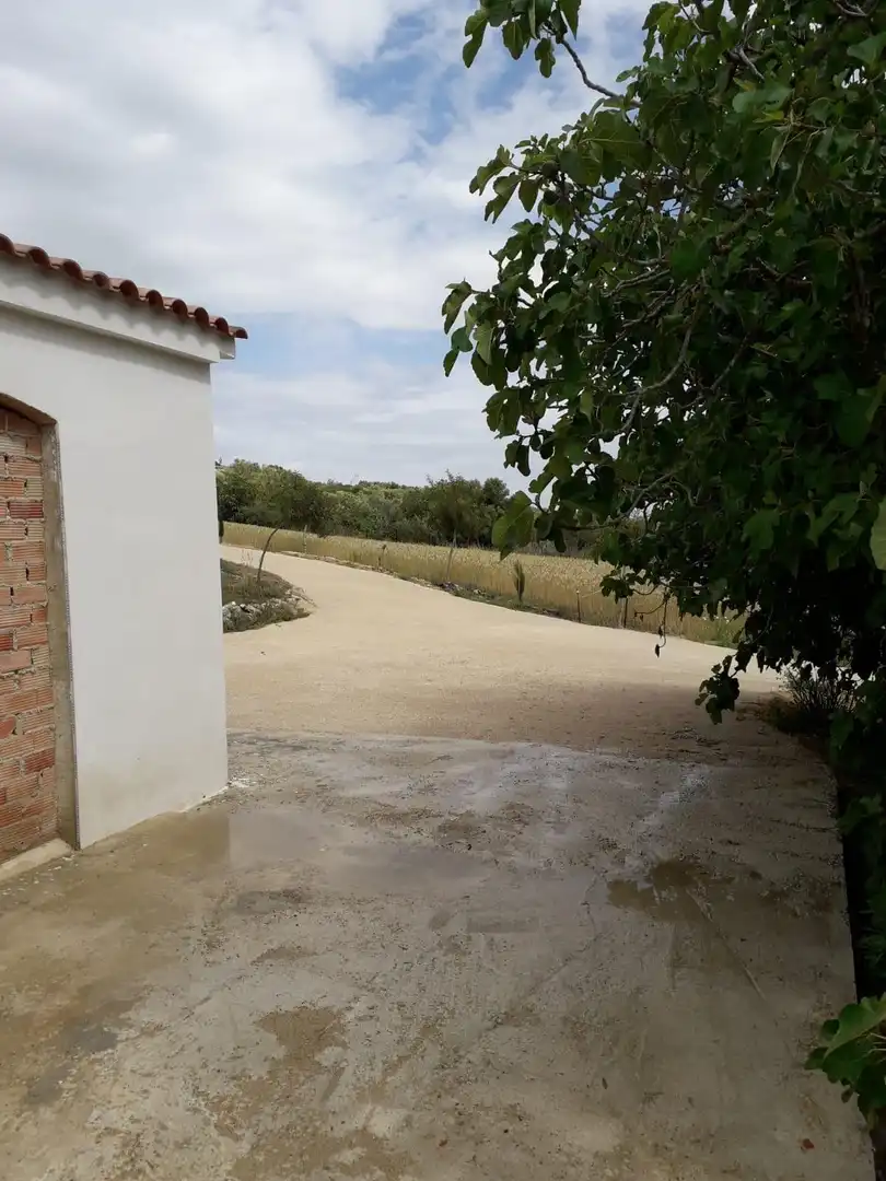 House for sale in Bornos, imagen 16