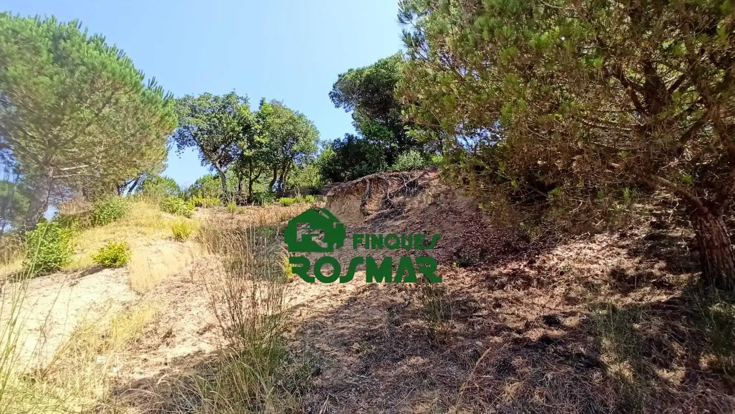 Terrenos y solares en venta en Aiguaviva Parc, imagen 25