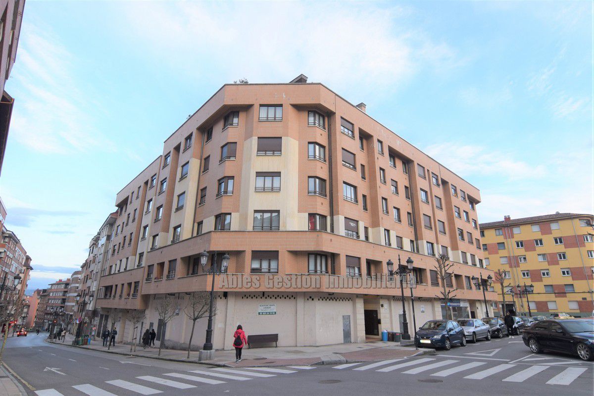 Vista exterior de Pis de lloguer en Oviedo  amb Calefacció, Parquet i Moblat
