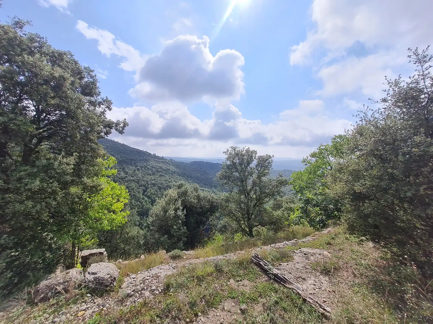 Country homes for sale in Olvan