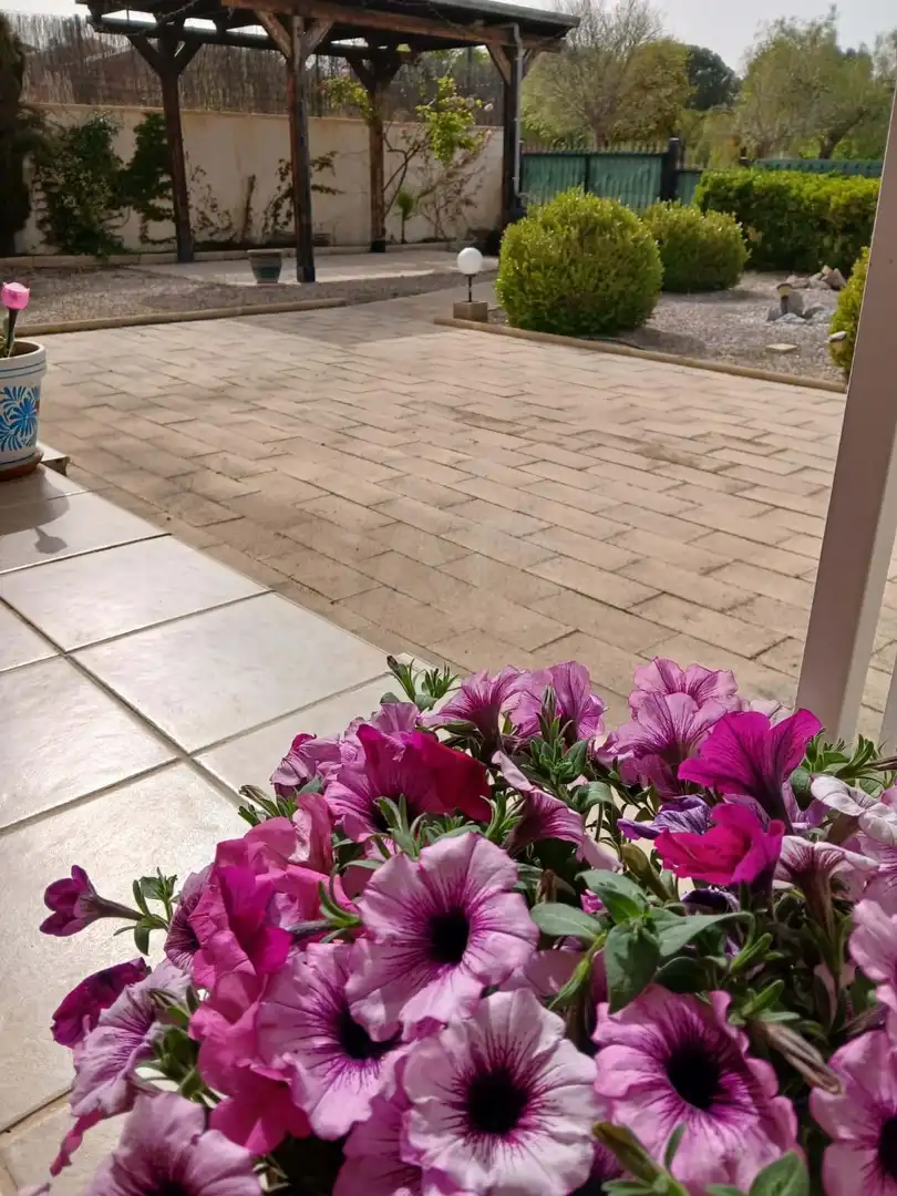 Terraza de Casa o chalet en venta en Calasparra con Terraza y Piscina